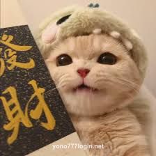 Avatar of images (3)